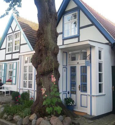 Warnemuende Apartamento | Haus Alexandrine