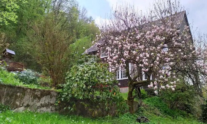 Walkenried Casa | Haus am Wald Zorge 16+ Gäste