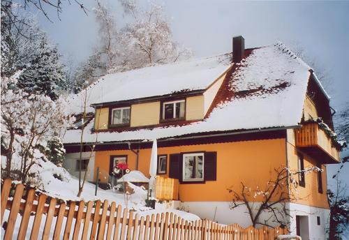 Triberg im Schwarzwald Casa | Haus Antonis