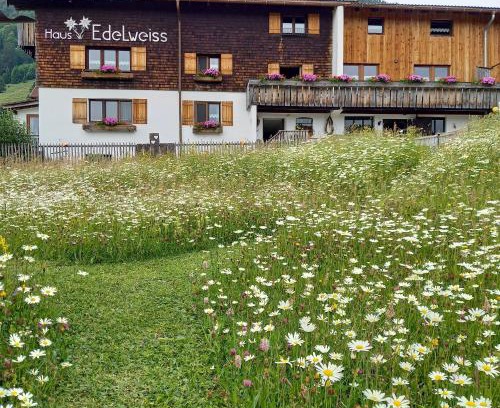 Bad Hindelang Apartamento | Haus Edelweiß