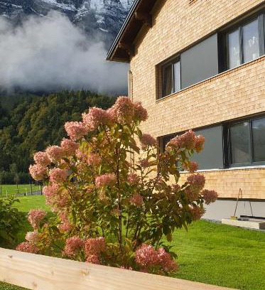 Schnepfau Apartamento | Haus Feuerstein