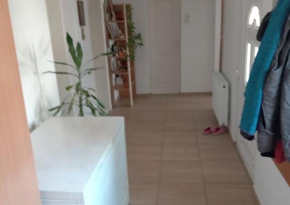 Sremski Karlovci Casa | Haus Gutic