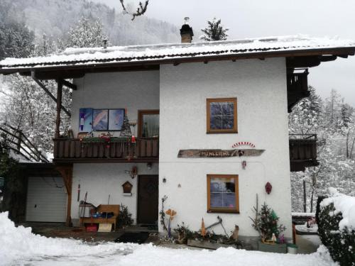 Finkenberg Apartamento | Haus Mühlbichl