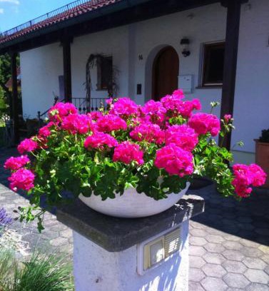 Eriskirch Apartamento | Haus Säntisblick