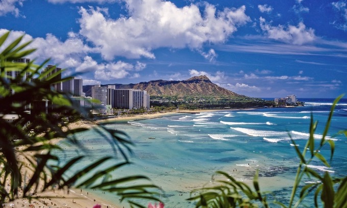 McCully - Moiliili Condominio | Hawaiian Monarch 805 Condo by RedAwning