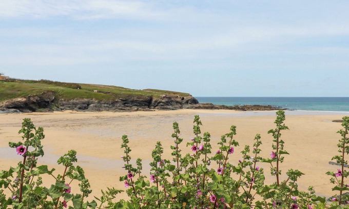 Treator Cabaña | Hawker's Cove