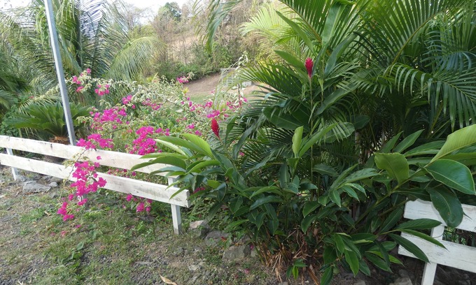 Riviere-Salee Apartamento | PROPRIZEN FOR YOUR VACATION SUCCESS