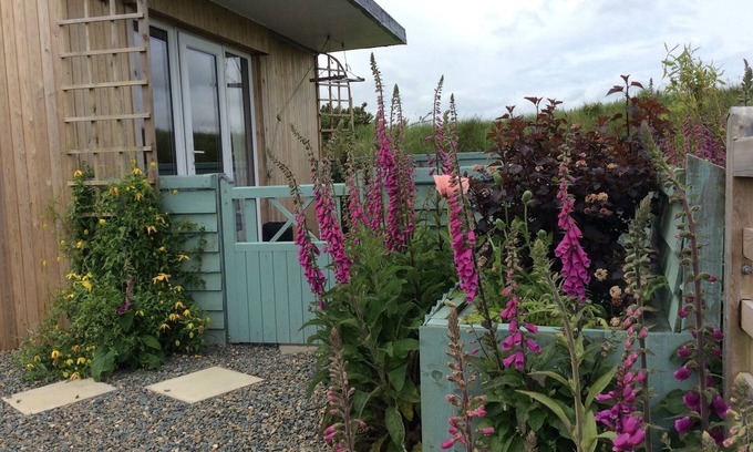 Maenclochog Cabina | Hedgerow Hut - el escondite perfecto