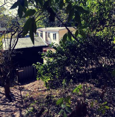 Nunspeet Casa | Heerlijk bos chalet met ongekende rust en vrijheid