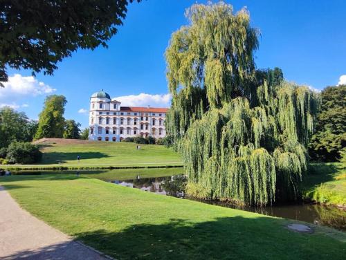 Celle Apartamento | Hehlentor