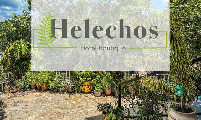 Comayagua Hotel | Helechos Hotel