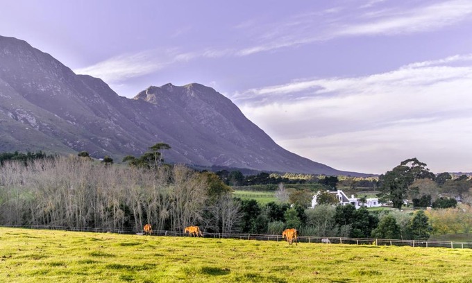 Greater Hermanus Casa | Hemel 'N Aarde Stud