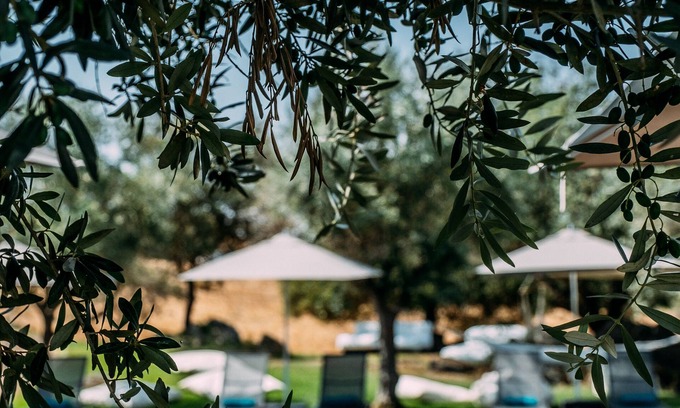 Avis Hotel | Herdade Da Cortesia Hotel