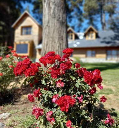 San Carlos de Bariloche Apartamento | Hermosa Cabaña con vista al Nahuel Huapi