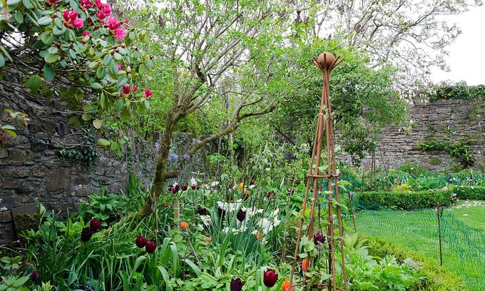 Bampton Cama Y Desayuno | Heron House