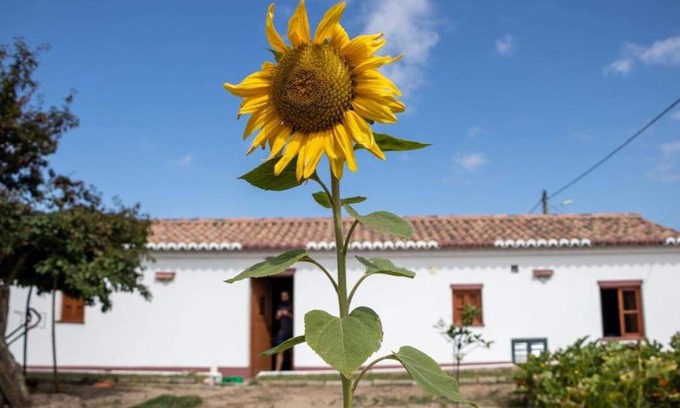 Baiona Casa | Heu’s Monte