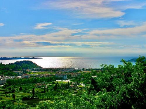 Lucija Apartamento | Hiša Olive Portorož - Olive House Portorož