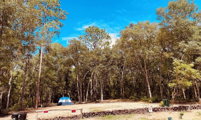 Hollister Alquiler De RV | Hidden Florida Gem 2 Campsite