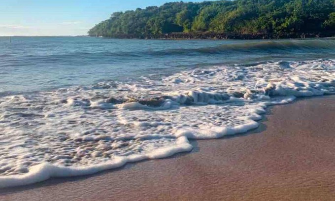 San Isidro Apartamento | Hidden gem 7 mins from the beach & 15 to el yunque