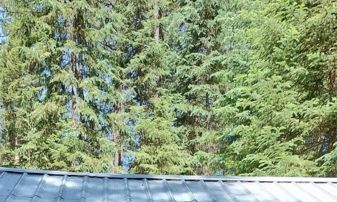 Olney Alquiler De RV | Hideaway Hut 2/ 1 Queen and 1 Bunkbed