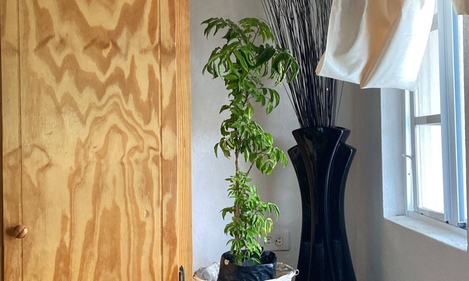 Union Island Casa | Hideaway in Ashton, homey atmosphere for tranquility - home away from home.