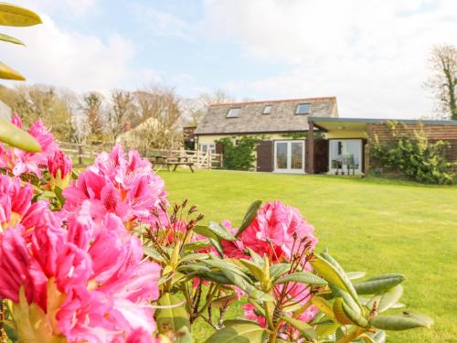 Bodmin Casa | Higher Kernick Stable