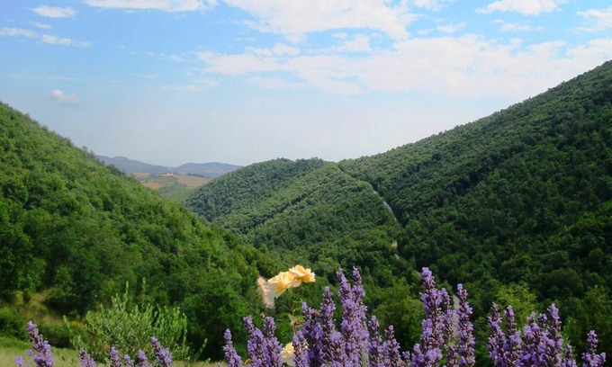 Monterosso Apartamento | Senderismo y disfrutar de la naturaleza en Le Marche, Italia en Cottage 'La Terra'
