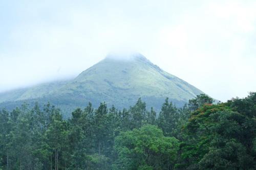 Chikkamagaluru Casa | Hill Shadow - With mountain view and pool