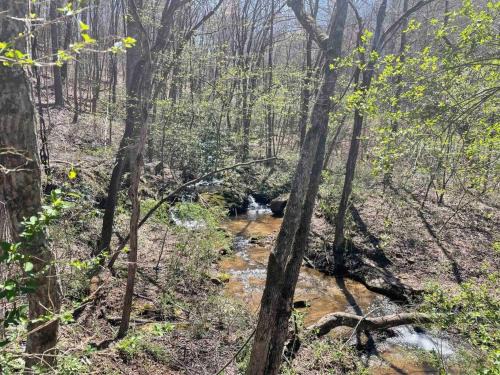 McCaysville Casa | Hilltop Haven w/Creek&Waterfall Dntwn McCaysville