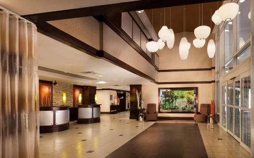 Downtown Austin Hotel | Hilton Garden Inn Austin Downtown