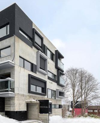 Hirafu Apartamento | Hinzan