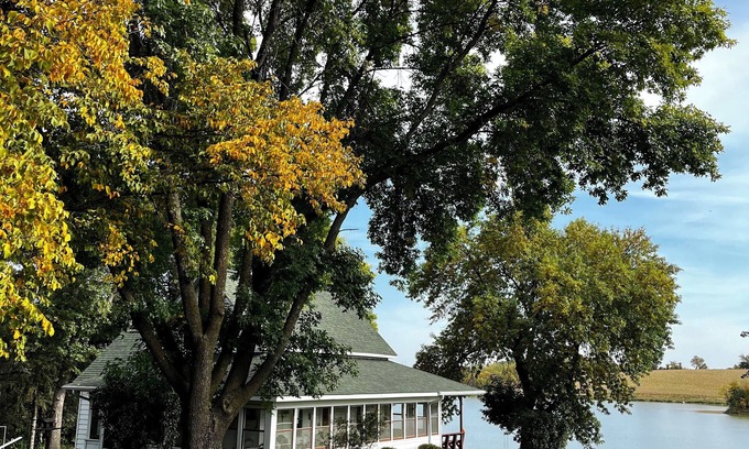 Annandale Otro | Historic Century Old Farmhouse on 80 Acres; Privacy, Walking Trails and Nature!