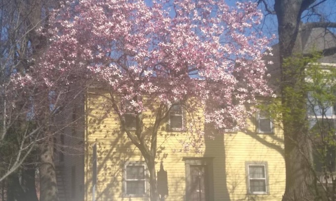 Licking Riverside Apartamento | Historic Clayton-Bullock Schoolhouse Near Downtown Cincinnati!!