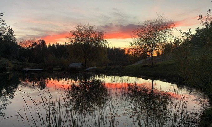 Colfax Cabina | Historical 2 story private 3 bedrooms ranch cabin in Colfax on 14 acres