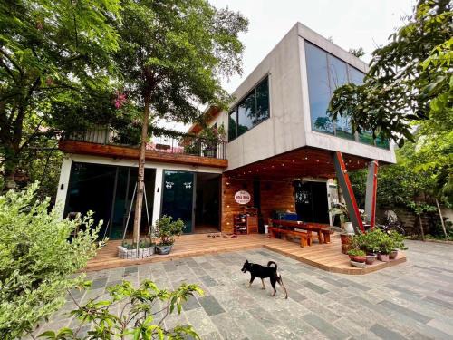 Hoa Lu Casa | Hoà Hoa villa Ninh binh