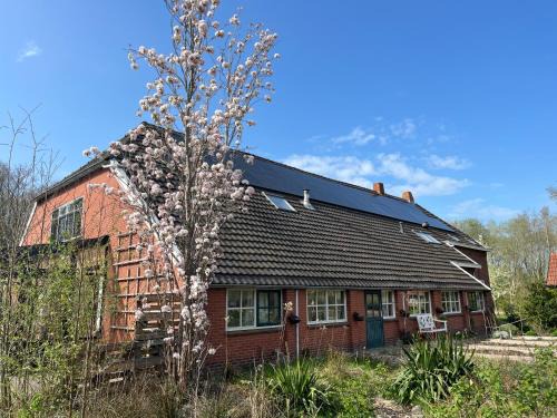 Municipality of Westerwolde Cama Y Desayuno | Hoeve Veganza B&B