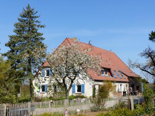 Muritz Apartamento | Hof Sorgenlos