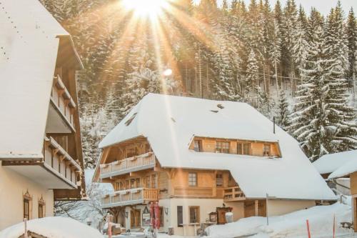Neuglashutten Apartamento | Holiday Apartements by Hotel Grüner Baum Feldberg