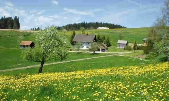 Schwarzenbach Apartamento | Apartamento de vacaciones Titisee-Neustadt para 1 - 5 personas con 2 dormitorios - Apartamento