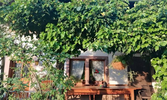 Schuttertal Apartamento | Holiday Apartment Cherry Blossom