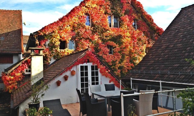 Andelfingen District Apartamento | Apartamento de vacaciones Uhwiesen para 1 - 8 personas con 3 dormitorios - Apartamento