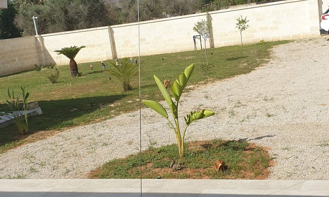 Leverano Apartamento | Holiday home 7km from the Salento beaches