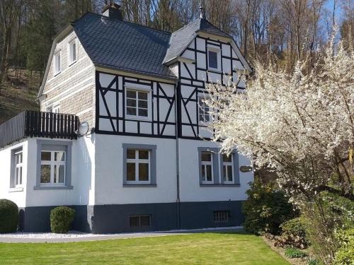 Siedlinghausen Casa | Holiday home Haus am Anger