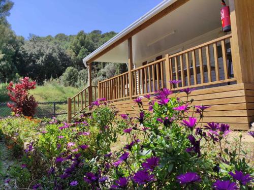 Calella Complejo | Holiday home in Calella de la Costa 3641