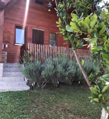 Mali Radic Casa | Holiday home Nemo