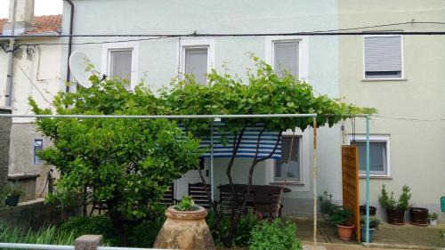 Olib Casa | Holiday Home Olib
