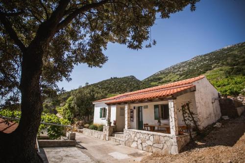 Orebic Apartamento | Holiday Home Potocinarka