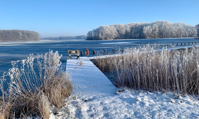 Dummer Casa | Holiday home Seerose with sauna on lake Dümmer, Dümmer