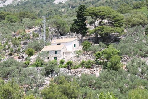 Zivogosce Casa | Holiday home Sweet Shelter with jacuzzi
