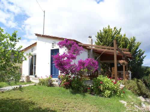 Asklipiio Casa | Holiday Home with Garden in Kritinia